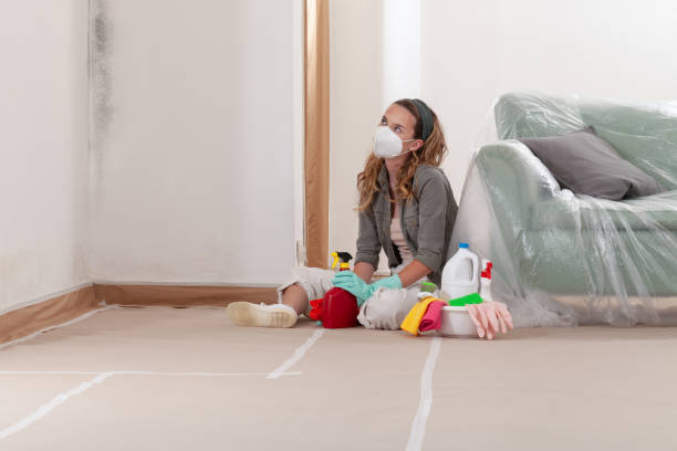 Reliable Mold Testing contractor in Thornton, CO by WQB Mold Removal